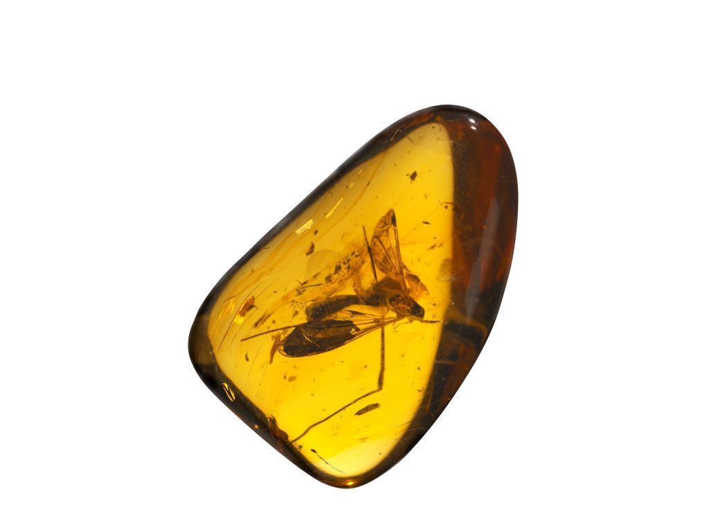 Amber