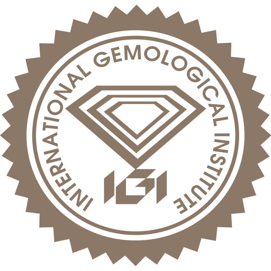 IGI Icon